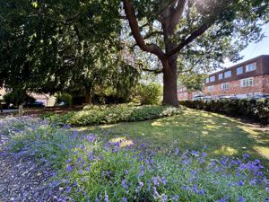 Photo 10- click for photo gallery